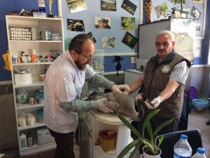 Rusya’dan Güneye Göç Ederken Yorgun Düştü