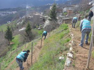 Artvin’de Yükümlülerden Fidan Dikim Ve Bakım Çalışması