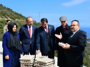 Dokap Bölgesi Organik Yumurta Tavukçuluğu Projesi Trabzon’da Hayat Buldu