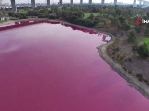 Avustralya’da Bir Göl Pembe Renge Büründü