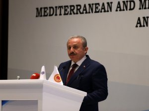 Başkan Şentop: "Fransız Parlamenterin Şovu"