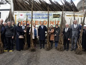 Gümüşhane’de Üreticilere 36 Bin Adet Ceviz Fidanı Daha Dağıtıldı