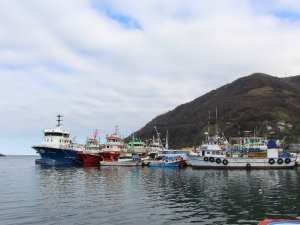 Balıkçılığın Trabzon Ekonomisindeki Yeri