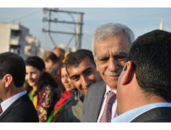 Mardin Bağımsız Milletvekili Türk: "Anayasa Mahkemesi Beni Partimden Kopardı"