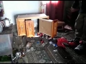 Ayılar Kış Uykusundan Uyandı, Yayla Evlerini Mesken Tuttu