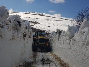 Yayla Yolları Ulaşıma Açılıyor