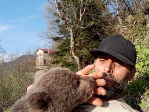 Sevimli Ayı ‘Yogi’ Milli Parklar Trabzon Şube Müdürlüğü Ekipleri Tarafından Teslim Alındı