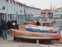 Hamsinin Fiyatı 10 Tl'den 100 Tl'ye Yükseldi