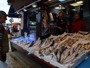 Trabzon’da Denizden Somon Hasadı Başladı