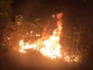 Rize’deki Orman Yangını Güçlükle Söndürüldü