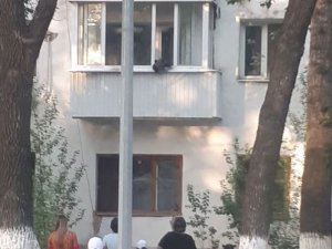 Evin Balkonuna Çıkan Yavru Ayı Herkesi Korkuttu