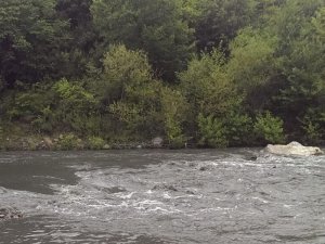 Kastamonu’da Simsiyah Akan Çay Köylüleri Tedirgin Etti