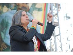 Diyarbakır'da 'Rojava'ya Destek Mitingi' Düzenlendi