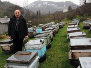 Giresun Arıcılar Birliği Başkanı Elevli, Gezgin Arıcıları Uyardı