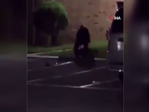 Abd’de Polis Hamile Kadını Öldürdü