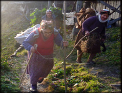 Rize'de Kadınlar Boş Durmuyor