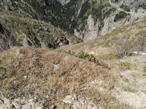 Kayıp Gazeteciyi Bulmak İçin Her Fikir Tartışılıyor