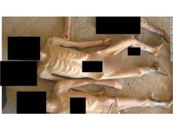 Suriye'de İşkence Fotoğrafları Yayınlandı