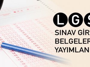 Lgs İçin Giriş Belgeleri Yayımlandı