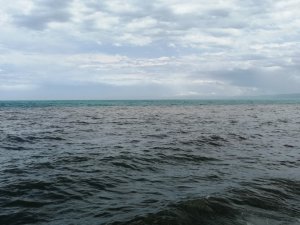 Karadeniz’in Rengi Değişti