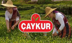 ÇAYKUR, Mayıs Ayı Çay Paralarını Üreticilerin Hesabına Aktarmaya Başladı