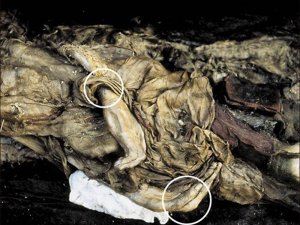 Altaylar Mumyanın Yeniden Gömülmesi İçin Kampanya Başlattı