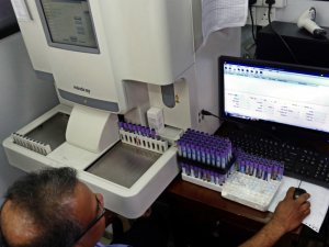 Sri Lanka’da Dang Humması Salgını: 28 Ölü