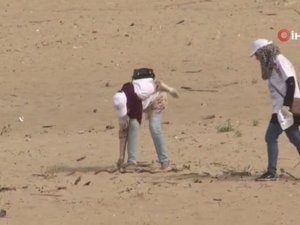 Binlerce Kişi Sahillerdeki Çöpleri Topladı