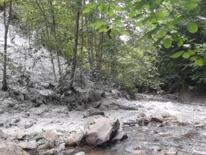 Dereleri Böyle Kirletiyoruz
