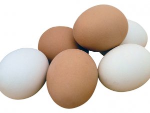 Tavuk Yumurtası Üretimi Nisan’da Azaldı