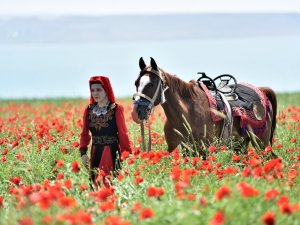 Gelincik Tarlaları Doğal Fotoğraf Stüdyosuna Dönüştü