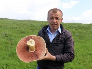 25 Yıldır Böylesi Görülmemişti