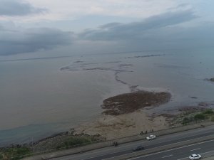 Trabzon’da Şiddetli Yağışlar Sonrası Deniz Çamura Bulandı, Derelerin Getirdiği Ağaç Parçaları İle Doldu