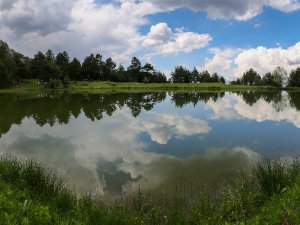 Tabiat Harikası Altınpınar Limni Gölü ’Tabiat Parkı’ Olmayı Bekliyor