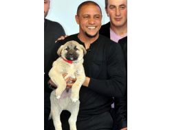 Roberto Carlos’a Canlı Yayında Kangal Köpeği Hediye Edildi