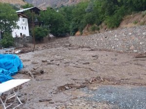 Köy Muhtarı Selin Gelişini Cep Telefonuyla Görüntüledi