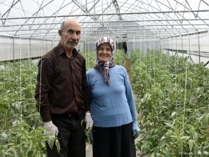 Gümüşhane’nin Çukurovası: İnkılap Köyü