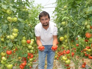 Genç Çiftçi Başardı