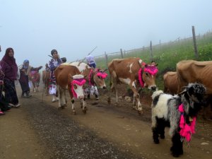 Yayla Göçü Renkli Görüntülerle Başladı
