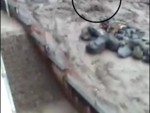 Sel, O’nu İşte Böyle Aldı