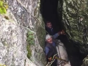 Mağaraya Düşen İneği Kurtarmak İçin Mahalle Halkı İşte Böyle Seferber Oldu