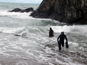 Kayıp Öğretmenin Köpeği Sahilde Sahibini Bekliyor