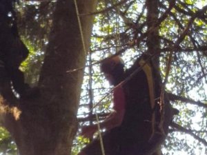 Yamaç Paraşütü Yaparken Ağaca Takılıp Mahsur Kaldı