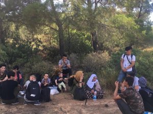 Avrupa Konseyi, Avrupa’yı Mültecileri Kurtarmaya Çağırdı