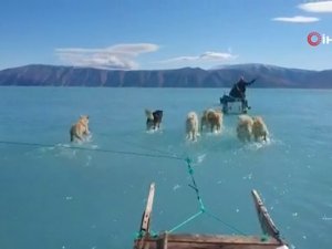 Küresel Isınmanın Geldiği Son Noktayı Gösteren Çarpıcı Görüntü