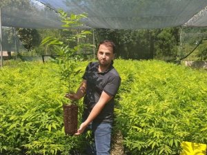 Himalayalar’dan Trabzon’a