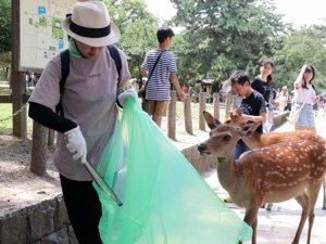Geyiklerin Ölüm Nedeni: “Plastik Atıklar”