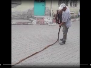 İçme Suyu Borusundan Çıkan 9 Metrelik Ağaç Kökü Şaşırttı