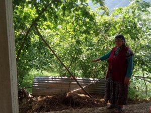 İnek Gübresi Cimer’e Şikayet Edildi