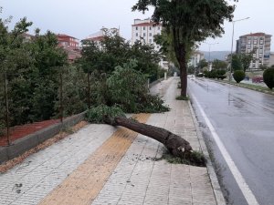 Fırtına Bir Kişinin Ölümüne Neden Oldu